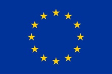 eu flag